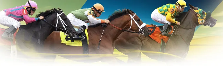 Chinh Phục Trường Đua Ngựa TT128 Với Những Tuyệt Chiêu Cá Cược Bất Bại Từ Cao Thủ